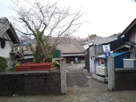 ������¤