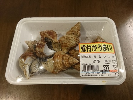 灯台つぶ貝