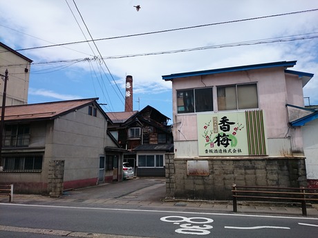 香坂酒造1507 (2)