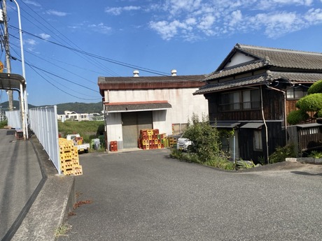 板野酒造8