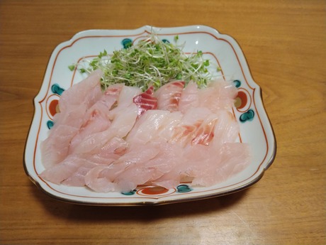 �������ɿ�