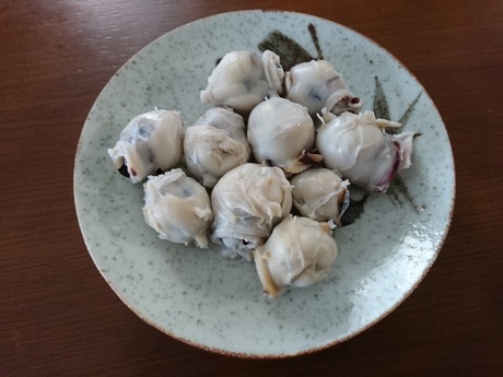 イカ口塩茹で