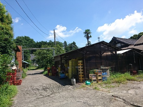 窪田酒造3