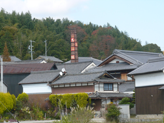 ������¤