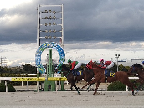 ���Ķ���2025-2