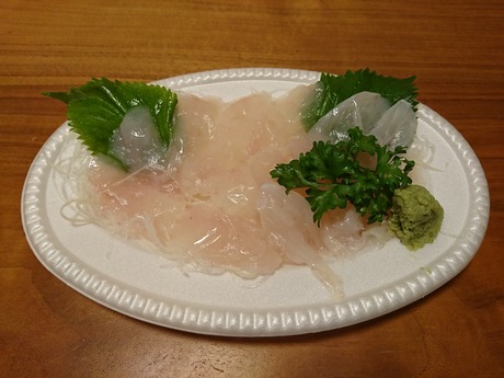 ショウサイフグ刺身