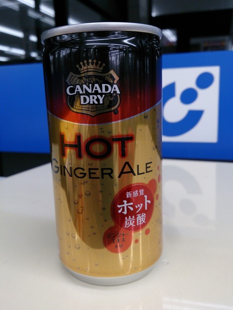 �ۥåȥ��󥸥㡼������