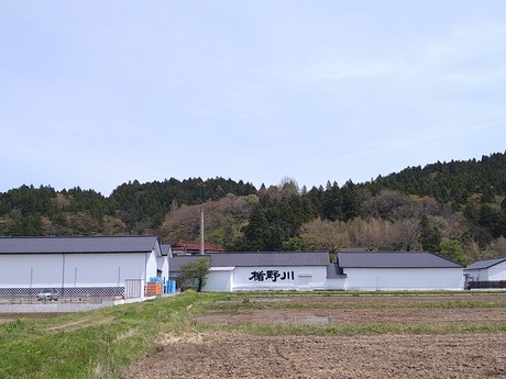 楯野川