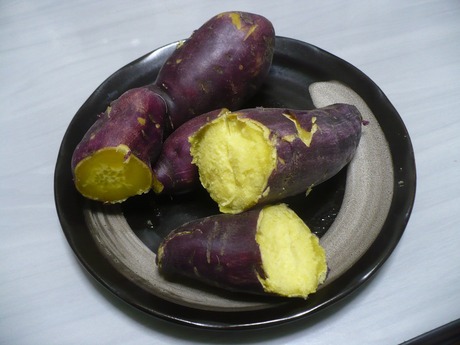 芋掘り (5)