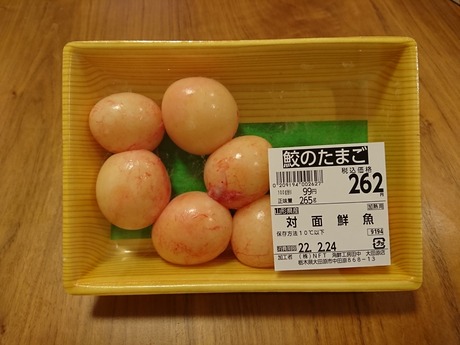 ¥µ¥á¤Î¤¿¤Þ¤´