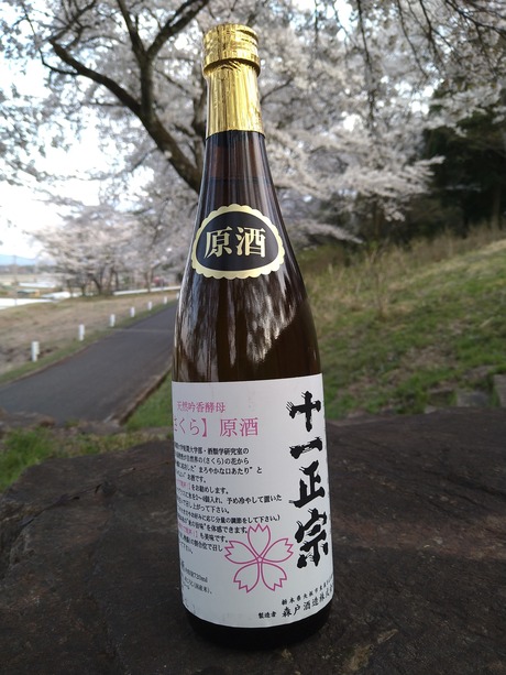 十一正宗・さくら原酒