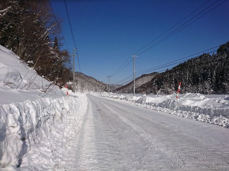 国道294号