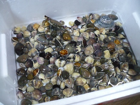 Ĭ������ (3)