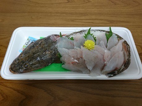 庄内産・マゴチ