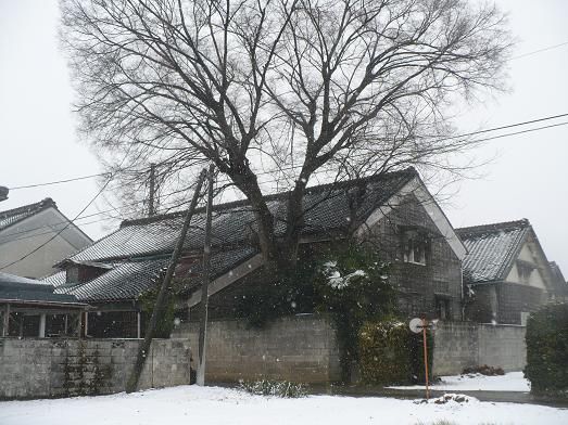 ���ɼ�¤11��2 (1)