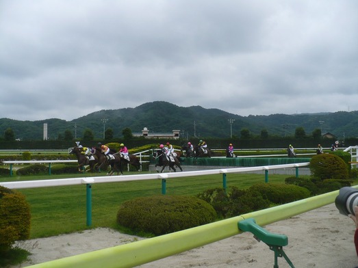 Ê¡Åç¶¥ÇϾì (6)