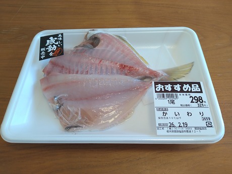 Ĺ�긩���������