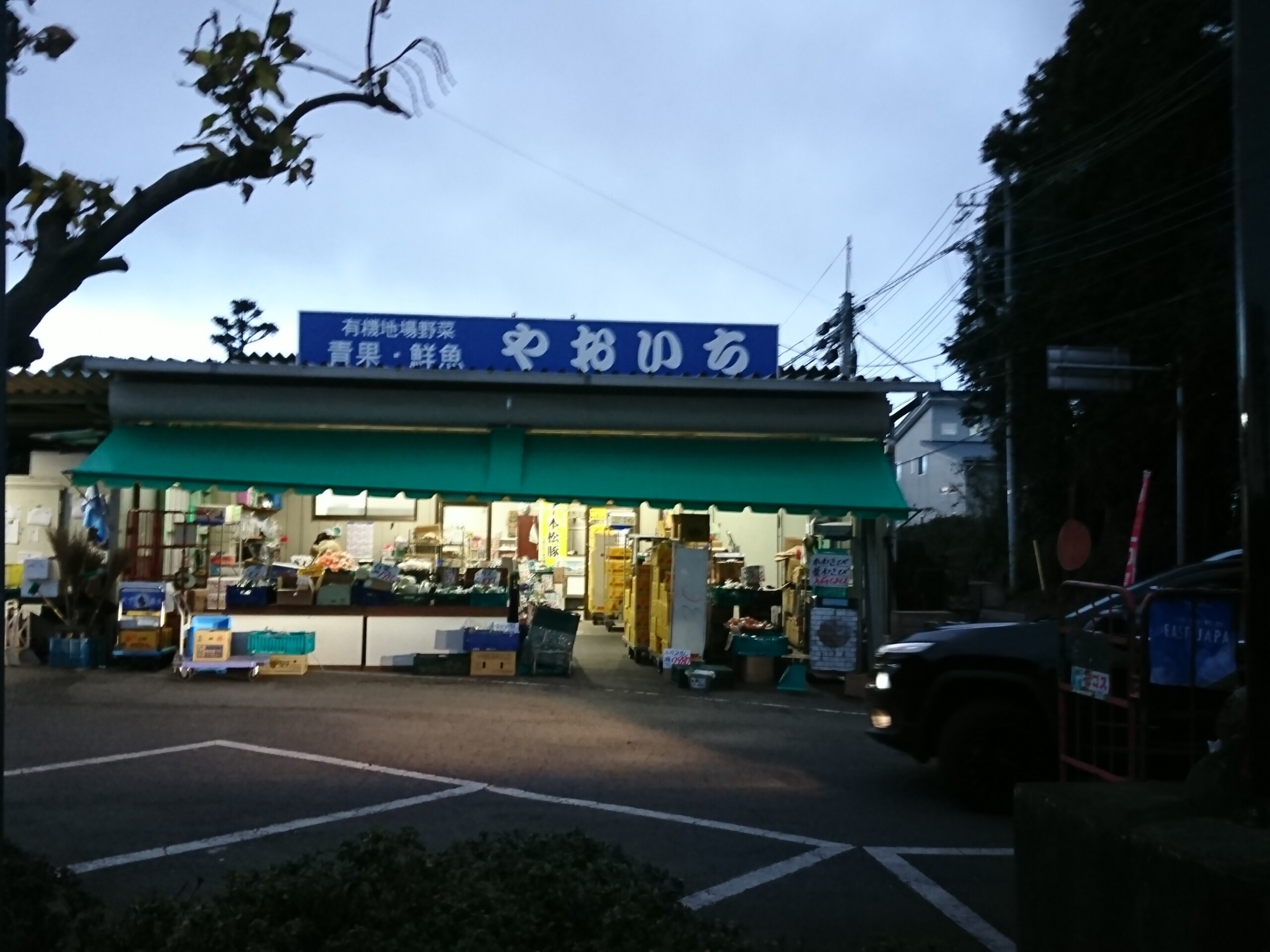 菊正宗の純米酒と肴は大田原のやおいちの刺身 丹醸 スペペ 飲料マニアと雑学帝王 菊正宗の純米酒と肴は大田原のやおいちの刺身 丹醸 スペペ 飲料マニアと雑学帝王