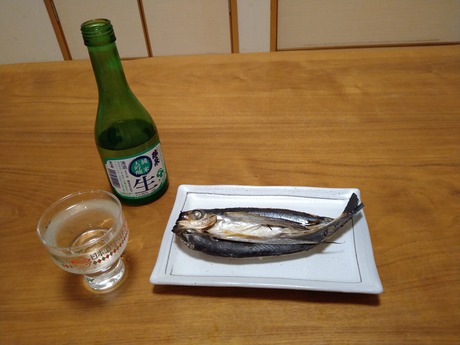 ���ܼ�������δ�ʪ