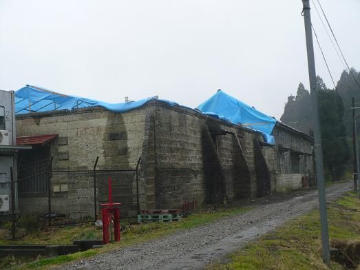 �����¤Ź11��4