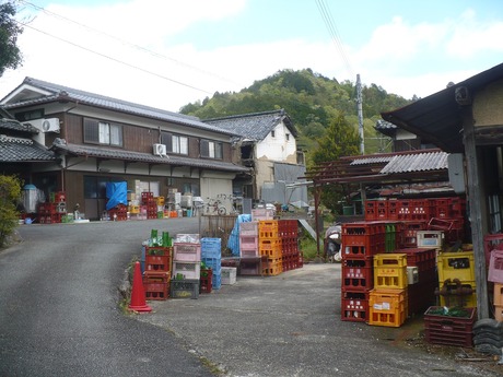 安井酒造1308 (2)