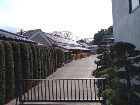 ������¤2