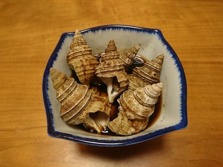 灯台つぶ貝2