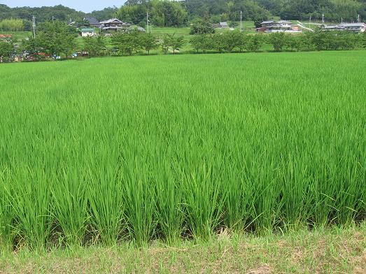 ���Ķӡ��洳��11111