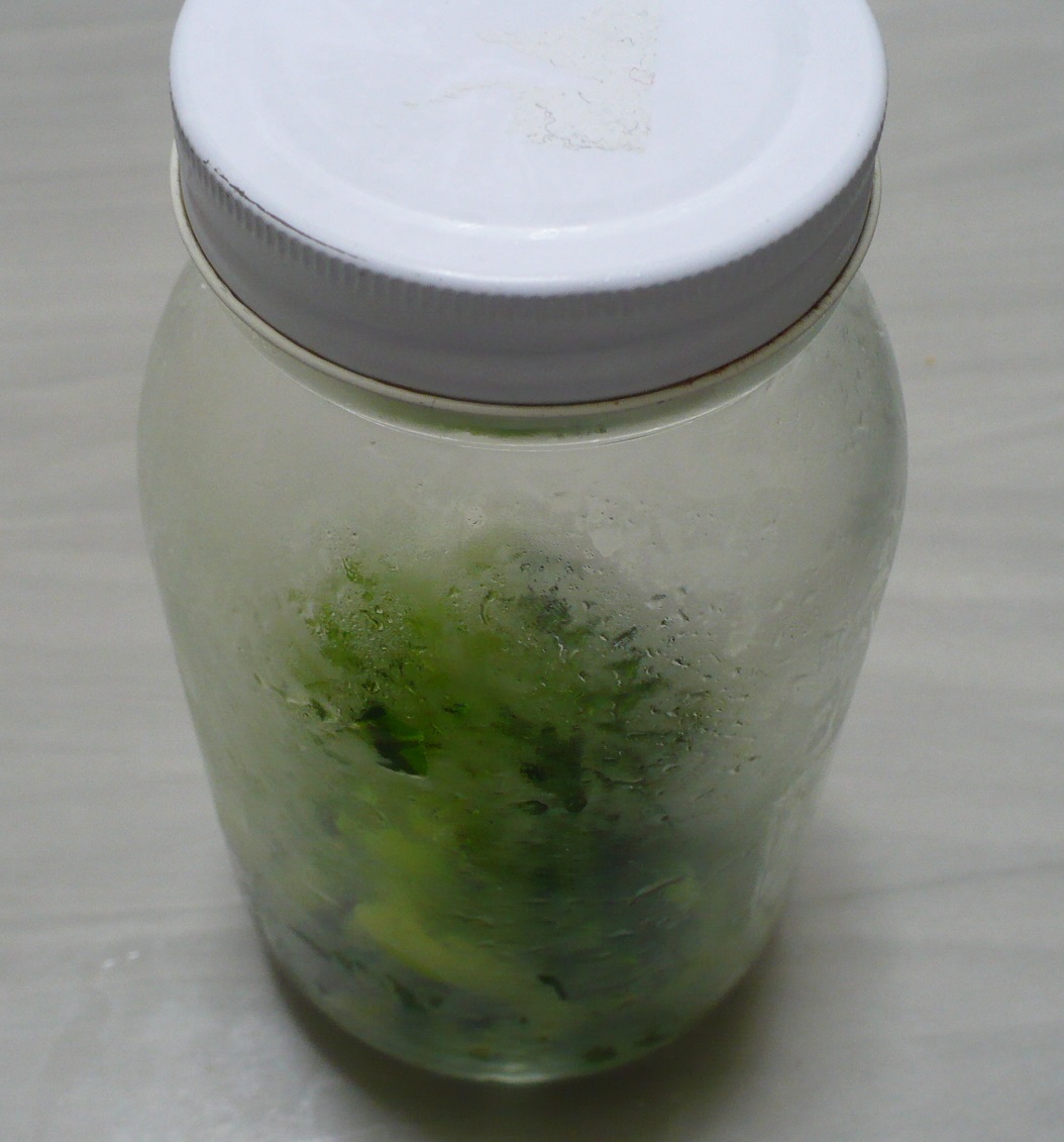 日光の葉わさびで醤油漬けを作る 丹醸 スペペ 飲料マニアと雑学帝王 日光の葉わさびで醤油漬けを作る 丹醸 スペペ 飲料マニアと雑学帝王