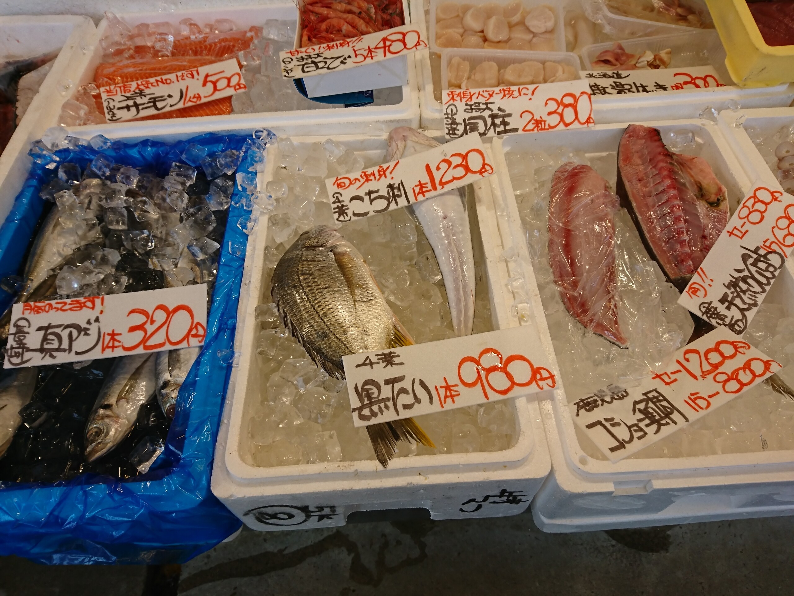 高岡地酒 勝駒と肴はお気に入りの魚しずの刺身 丹醸 スペペ 飲料マニアと雑学帝王 高岡地酒 勝駒と肴はお気に入りの魚しずの刺身 丹醸 スペペ 飲料マニアと雑学帝王