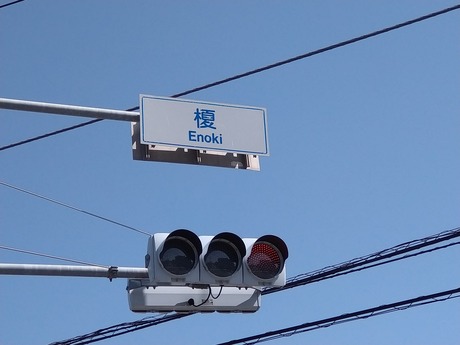 榎