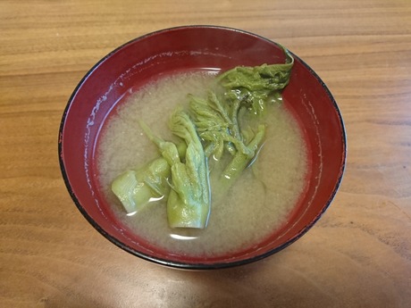 タラの芽の味噌汁
