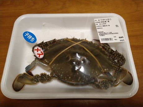 ワタリガニ