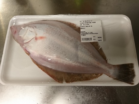 水カレイ
