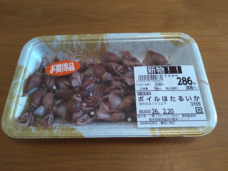 �ܥ���ۥ��륤��2026