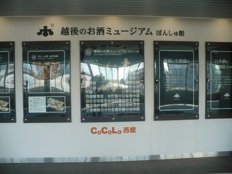 ぱんしゅ館 (1)