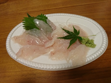 ショウサイフグ