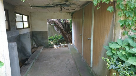 長谷川4