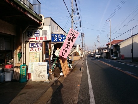イルカワタ・秋田屋