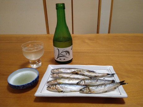 酒と肴777