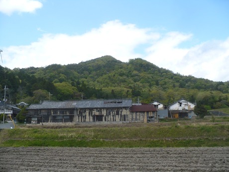 安井酒造1308 (3)