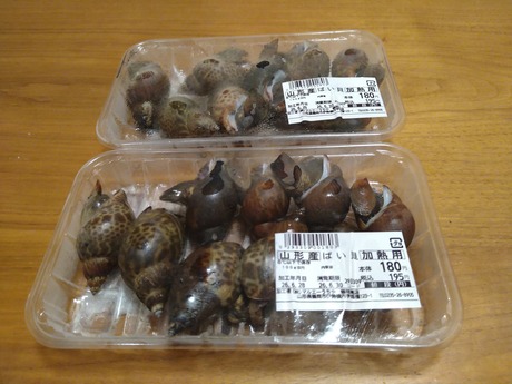 山形県産バイ貝