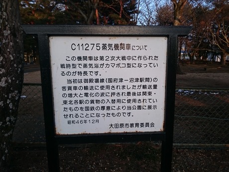 大田原・C11形 (5)
