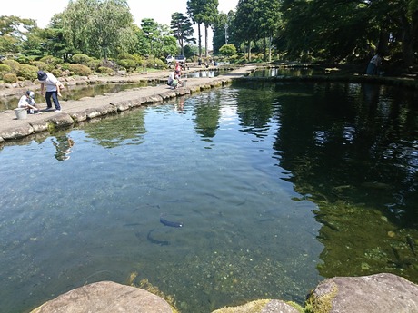 釣り堀