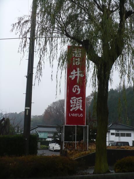 ���Ƭ����