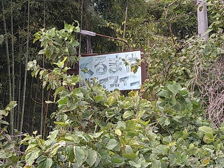 ����ޤ�ɥ饤�֥���