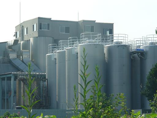 ��������¤��