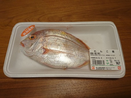蓮子鯛