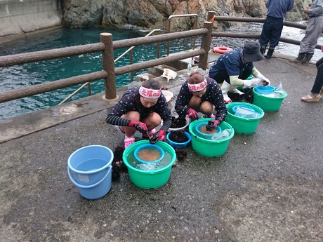 青森・岩手の旅 (11)