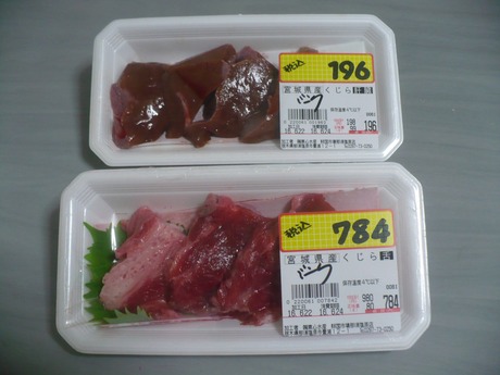 ミンク鯨 (3)
